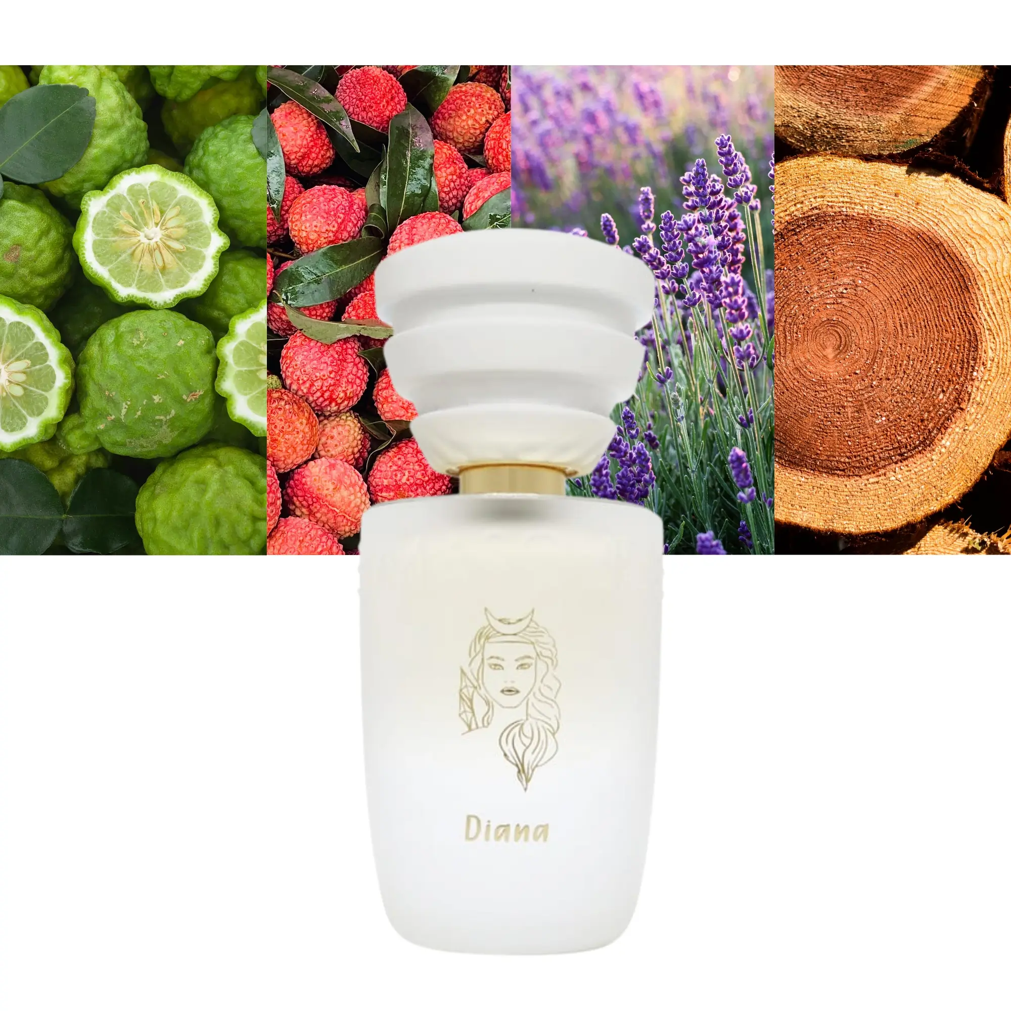 UP8055118032247_1 UP8055118032247_1