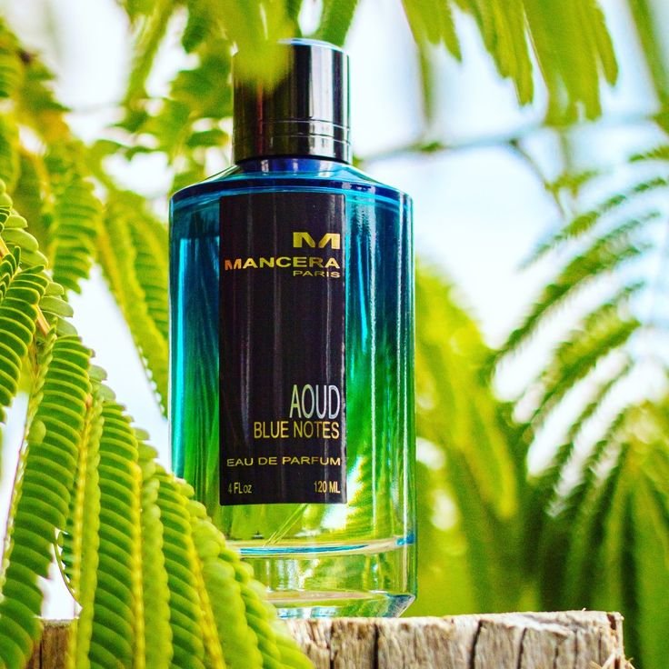 0d41fc5bb30c1c384e2959f419fa6009 0d41fc5bb30c1c384e2959f419fa6009