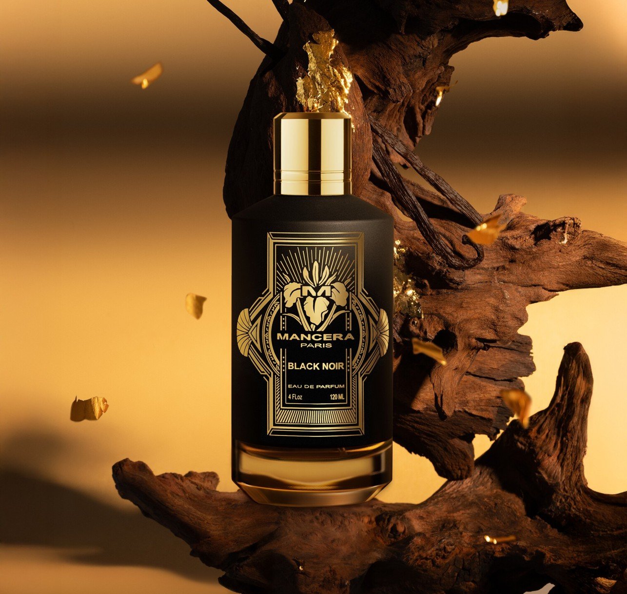 black-noir (1) black-noir (1)