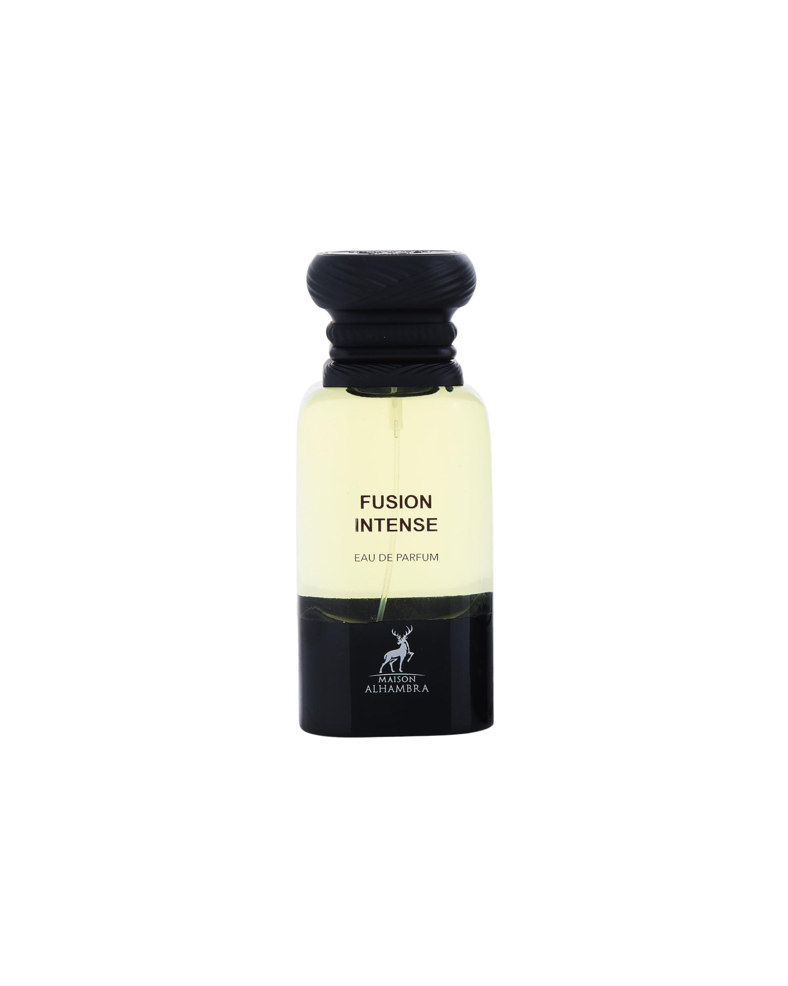 fusion intense (1) fusion intense (1)